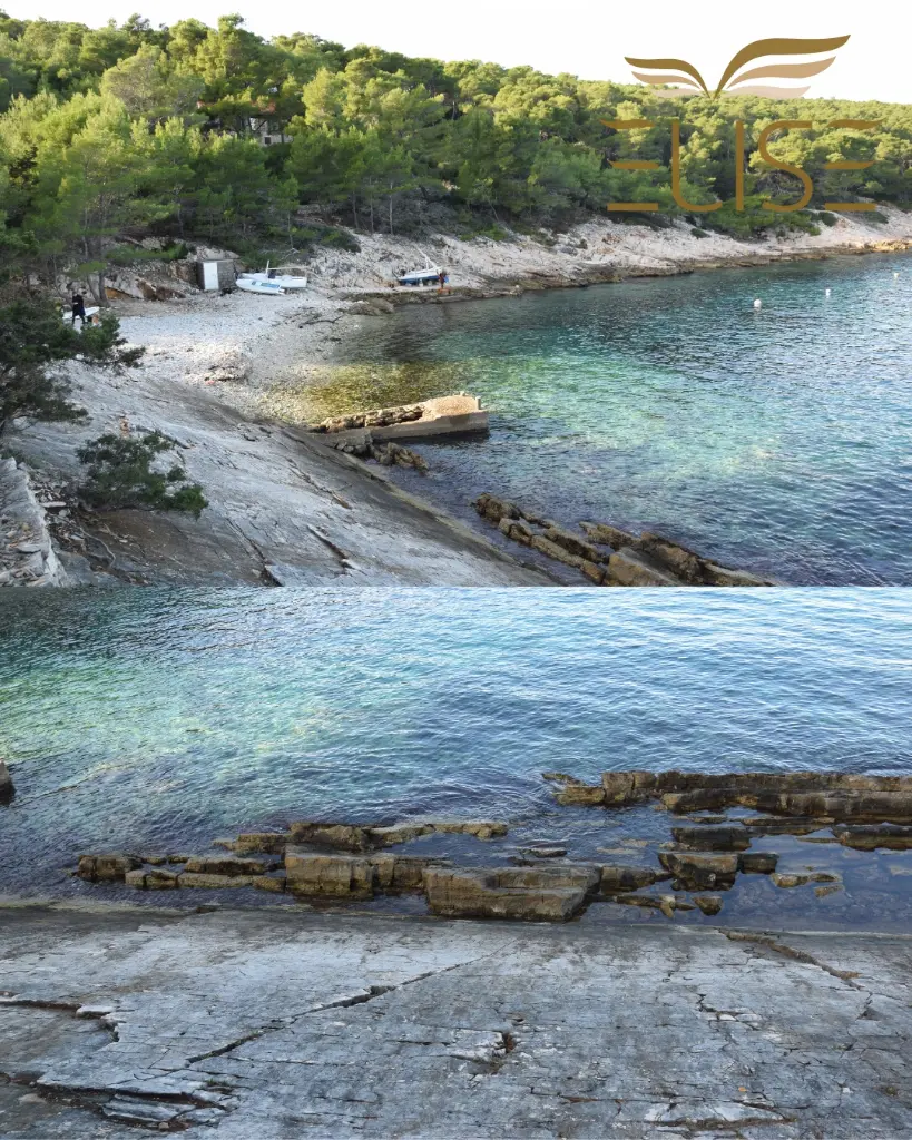 tankaraca web 5.webp