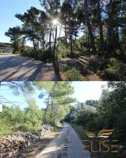 AGRICULTURAL LAND – 5 MINUTES FROM VELA LUKA – 5,801 m²,  10€/ m²