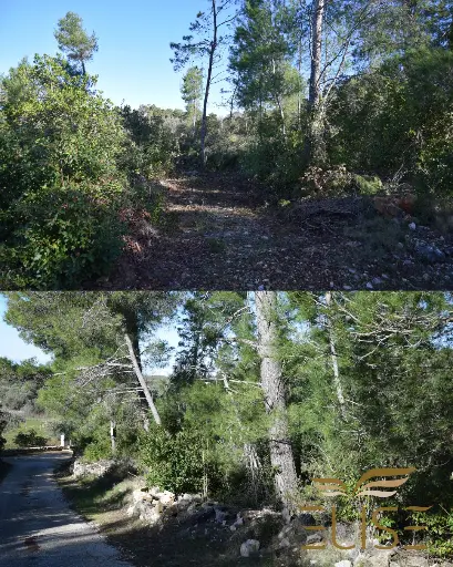 AGRICULTURAL LAND – 5 MINUTES FROM VELA LUKA – 5,801 m²,  10€/ m²