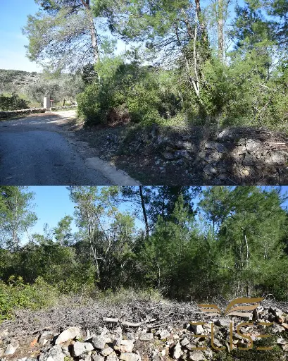 AGRICULTURAL LAND – 5 MINUTES FROM VELA LUKA – 5,801 m²,  10€/ m²