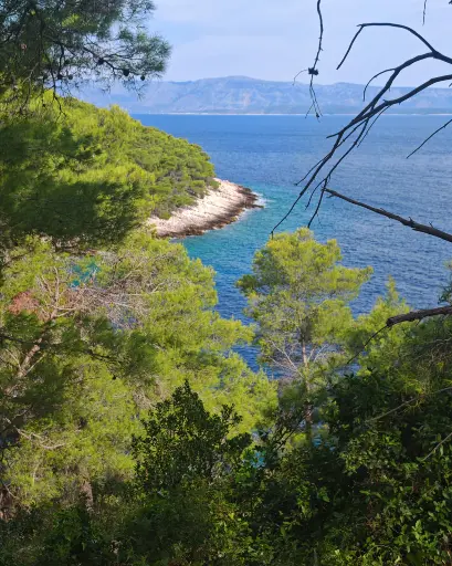 MULTIPLE BUILDING LANDS 6160 m2, ŽUKOVA COVE