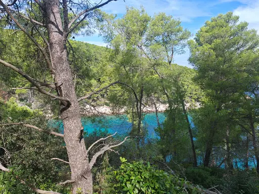 MULTIPLE BUILDING LANDS 6160 m2, ŽUKOVA COVE