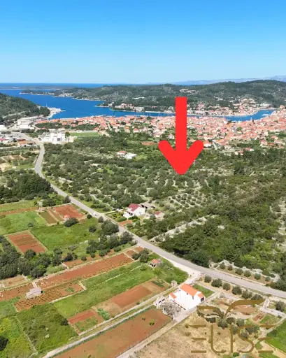 SCENIC OLIVE GROVE NEAR VELA LUKA 3100m2 - 90.000€