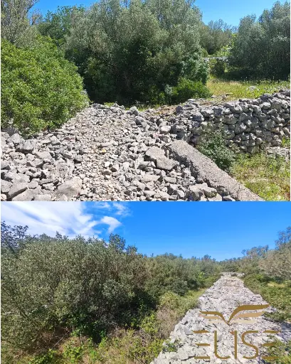 SCENIC OLIVE GROVE NEAR VELA LUKA 3100m2 - 90.000€
