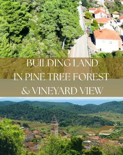 Building Plot in Smokvica – Nature, Peace, and Vineyard Views, €60000